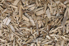 biomass boilers Rhydgaled